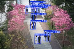 <b>圈通勤、消费高峰的人流疏导压力</b>